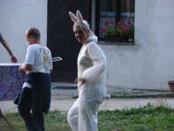 kralicek.jpg, 28kB